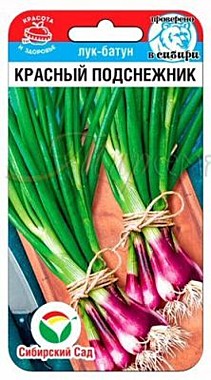 Лук батун Красный подснежник Сибирский сад
