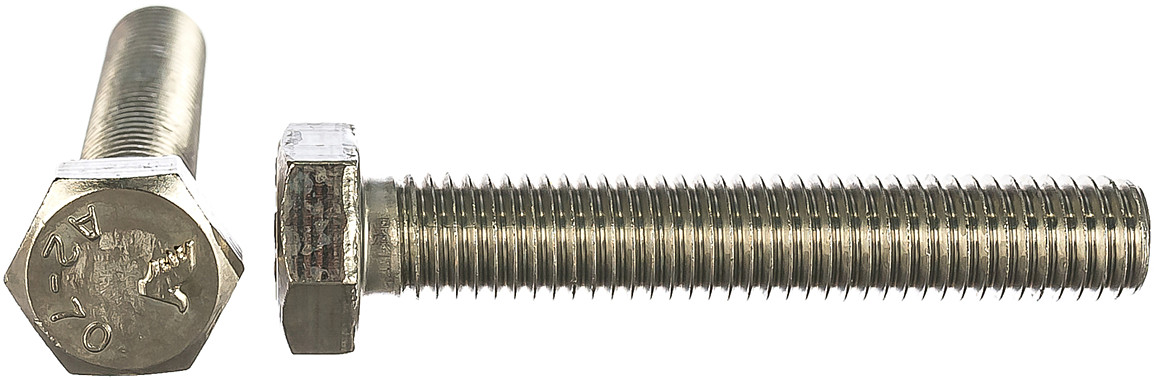 Болт М16*55 1 шт. нерж.