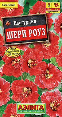 Аэлита Настурция Шери Роуз кустовая