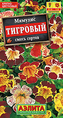 Аэлита Мимулюс крупноцветковый тигровый