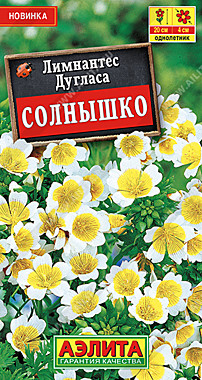 Аэлита Лимнантес дугласа Солнышко