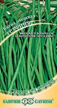 Вигна Графиня Гавриш