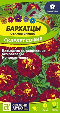 Семена Алтая Бархатцы Скарлет София