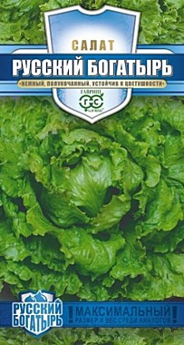 Семена Алтая Салат Русский богатырь полукочанный