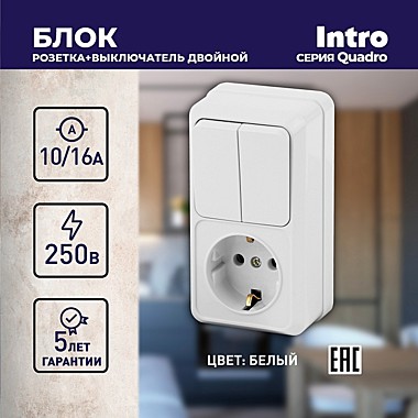 Блок розетка с двойным выключателем Интро