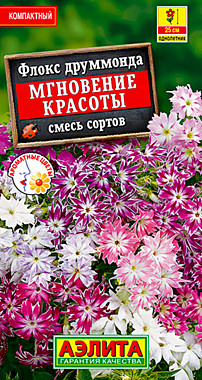 Аэлита Флокс Мгновение красоты