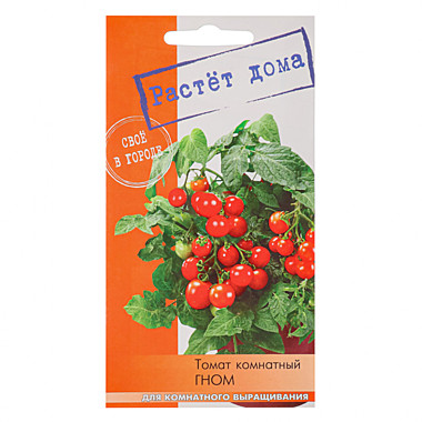 Томат Гном комнатный