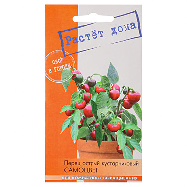 Перец острый Самоцвет комнатный
