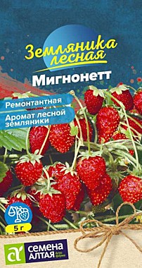 Семена Алтая Земляника Мигнонетт ремонтантная