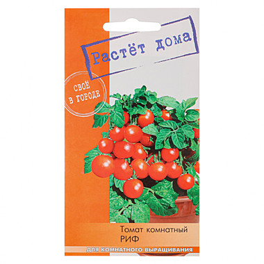 Томат Риф комнатный
