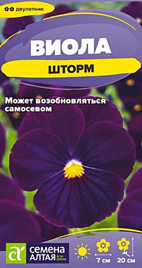 Семена Алтая Виолла Шторм 