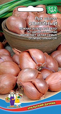 Лук шалот семейный Уральский дачник